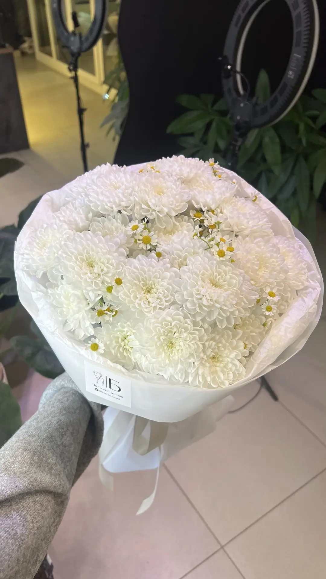 Ромашковое поле
