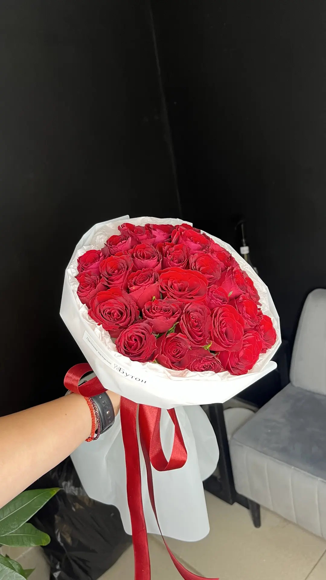 29 бордовых кений