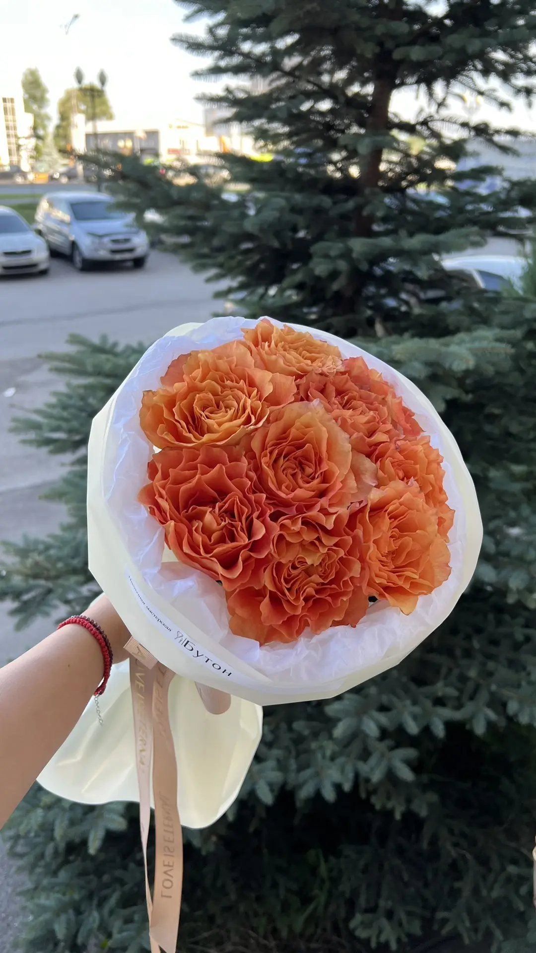 Моно из Фрит Спирит