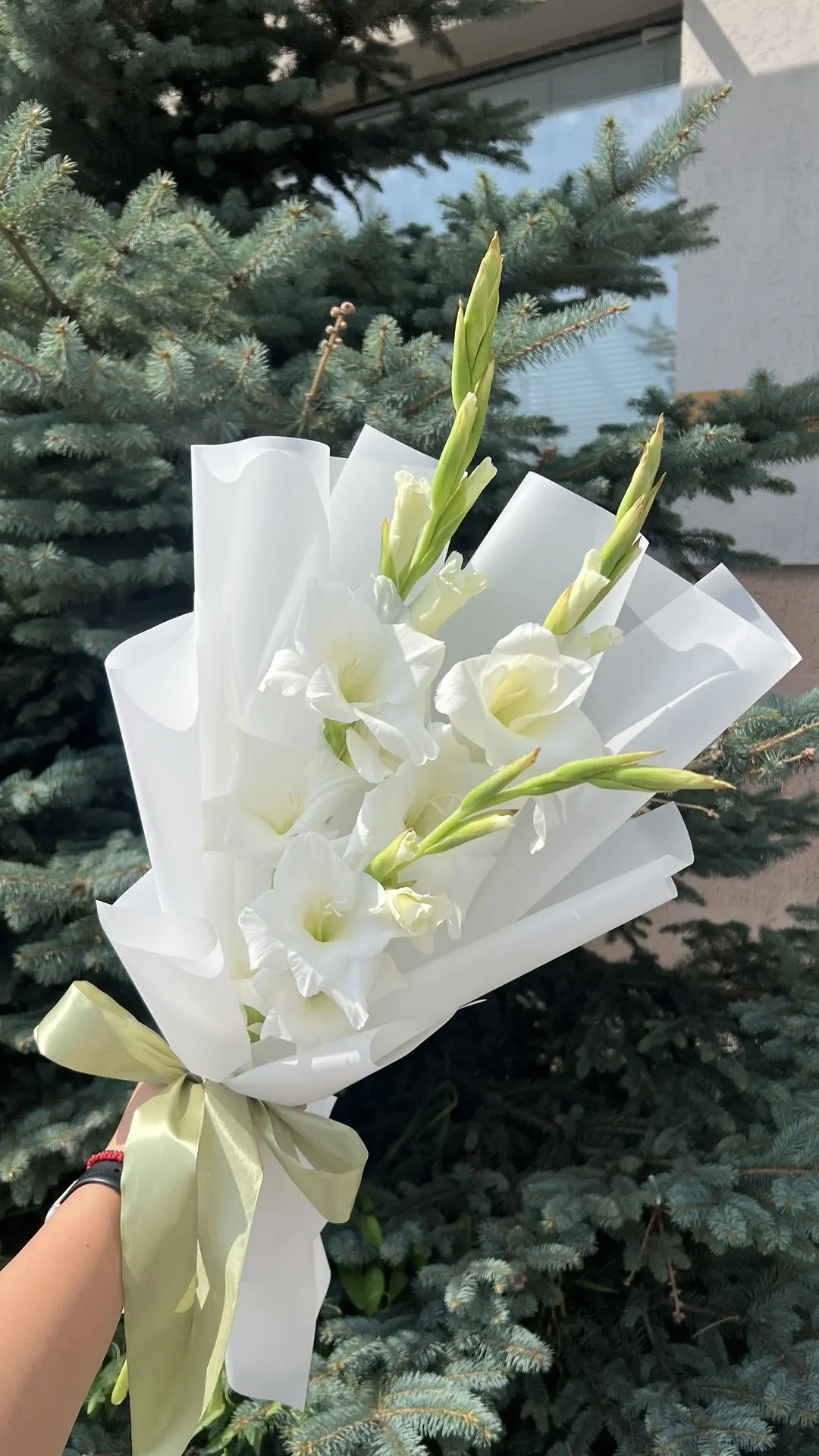 Букет комплимент с гладиолусами