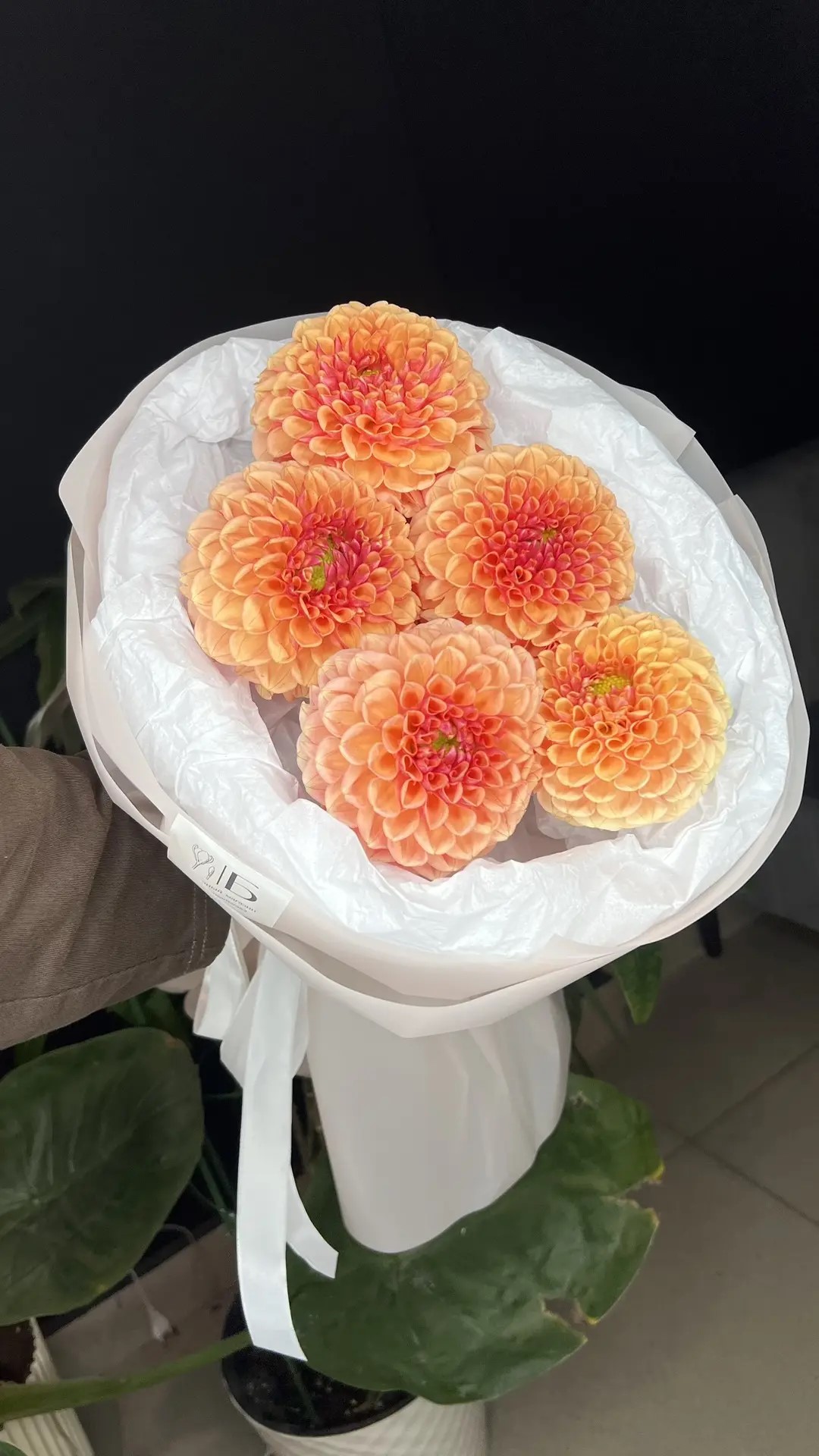 Персиковые шарики