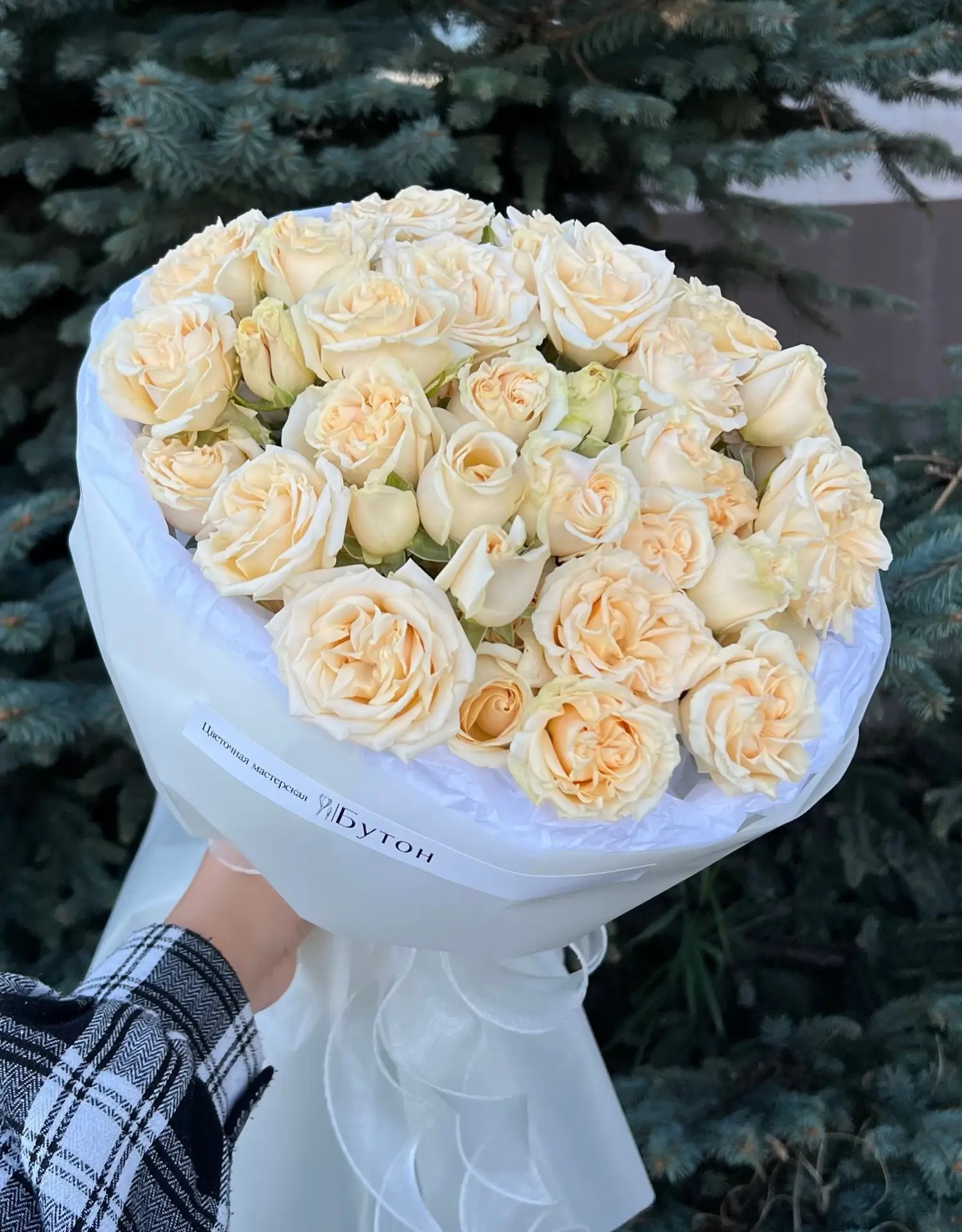 Моно-букет из  7 кустовых роз