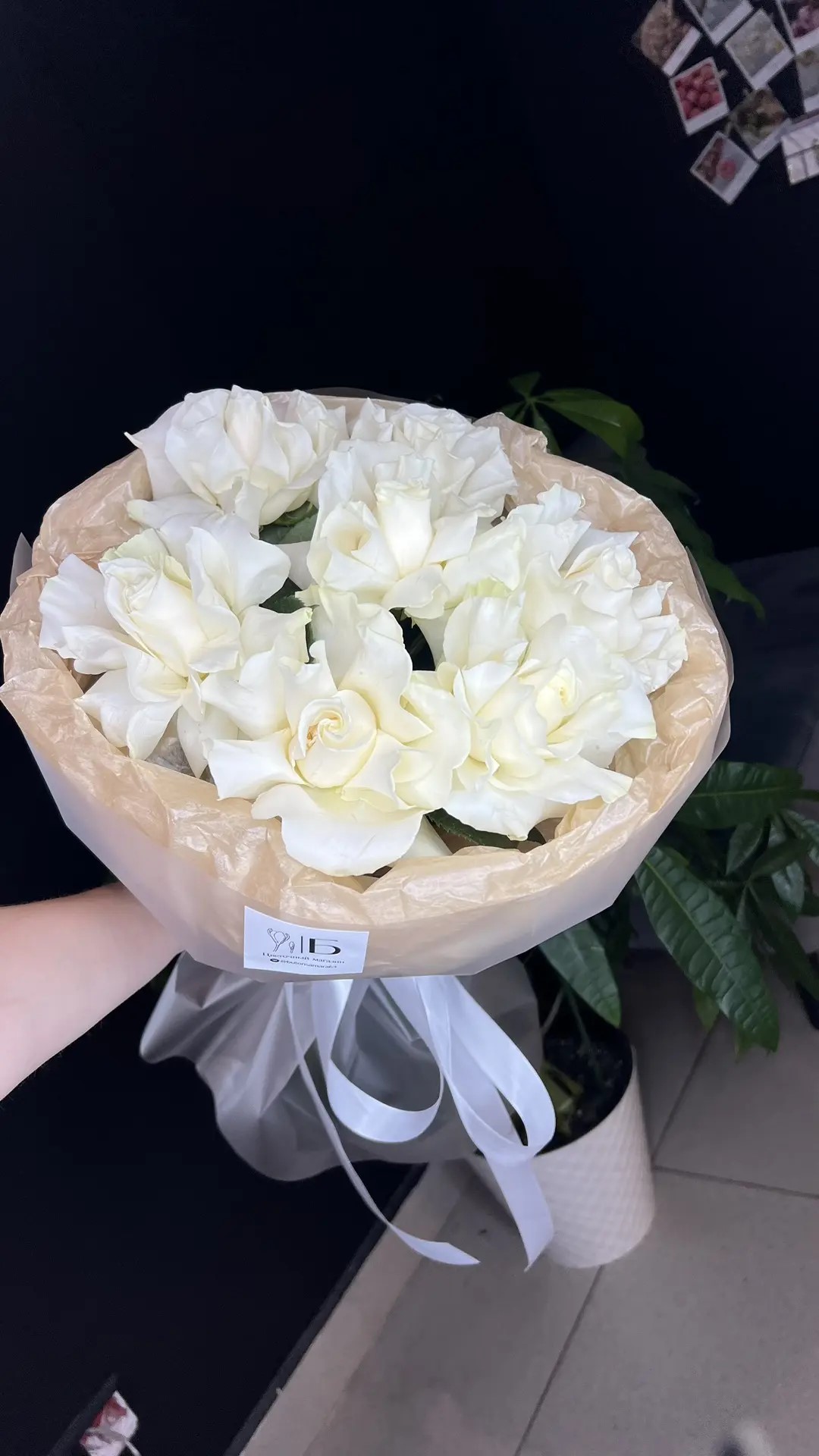 7 французских мондиаль