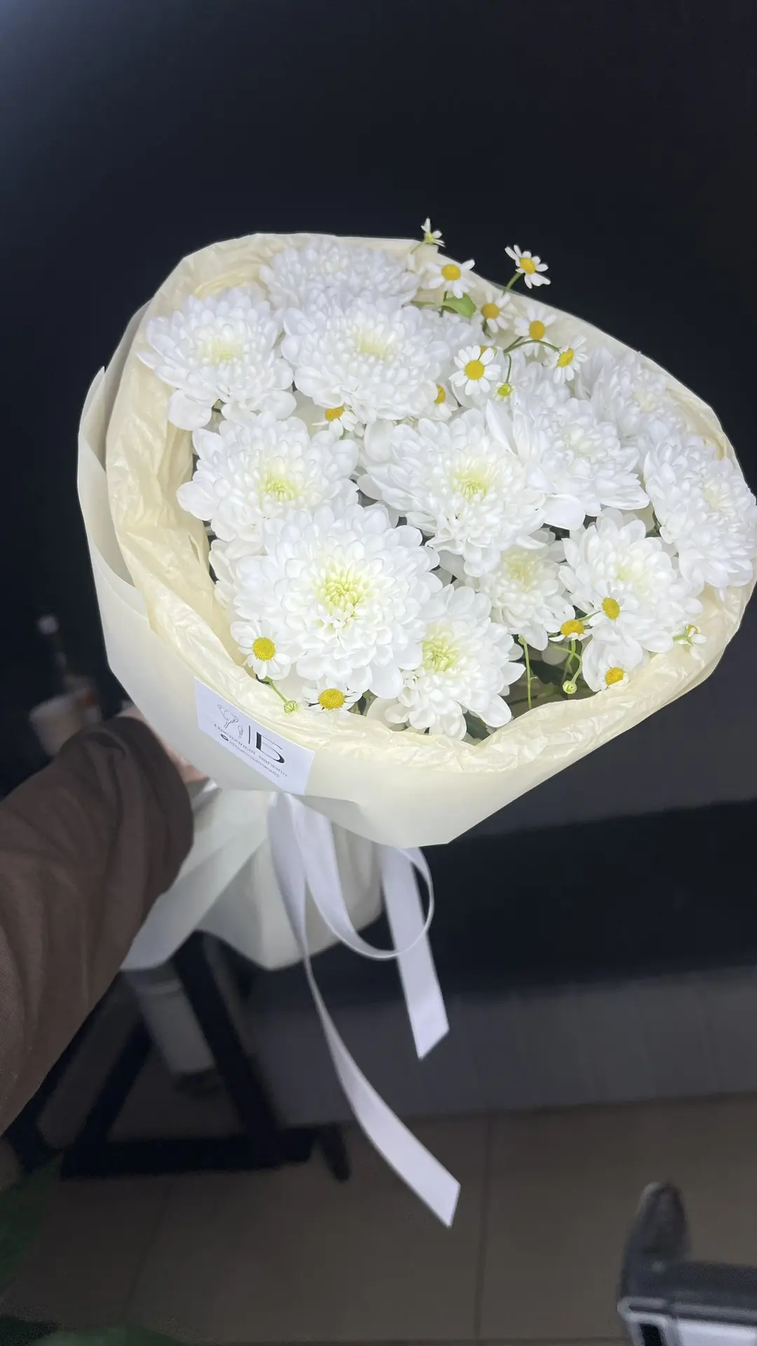 Ромашковое поле