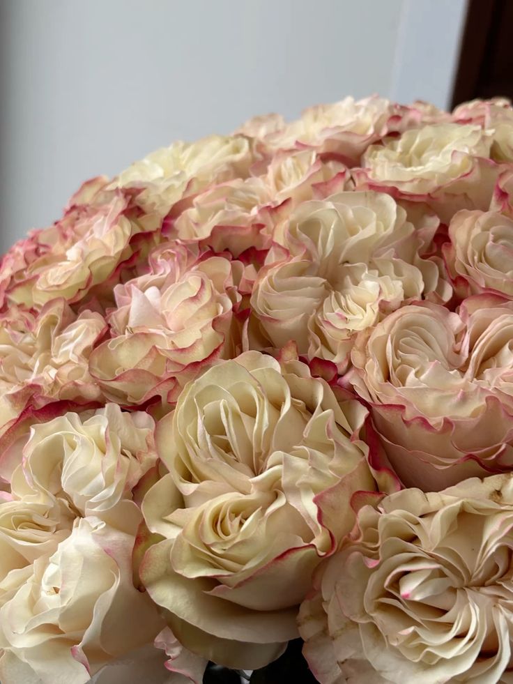 Роза Кантри Кенди