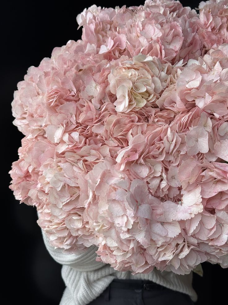 Гортензия Розовая