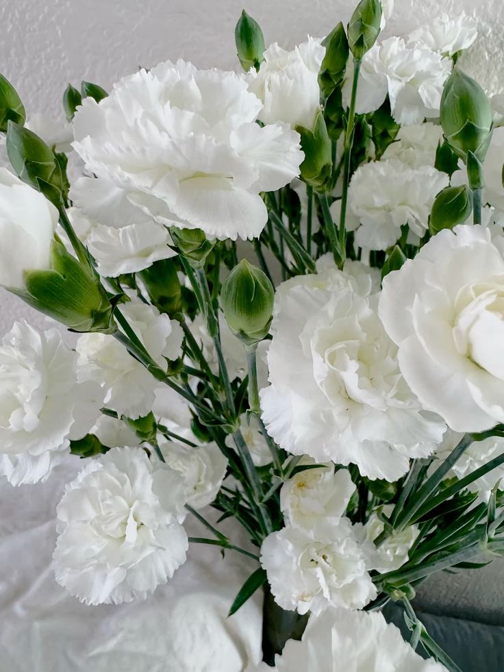 Гвоздика кустовая белая