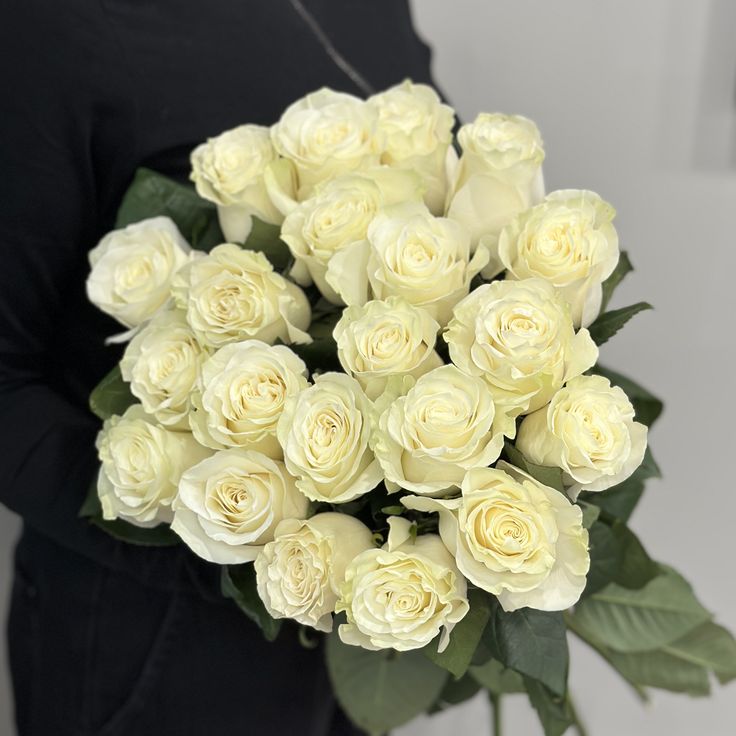 Роза мондиаль